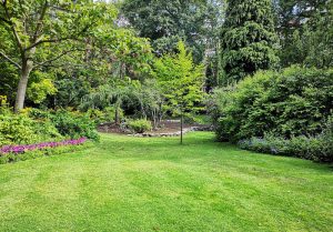 Optimiser l'expérience du jardin à Issoire